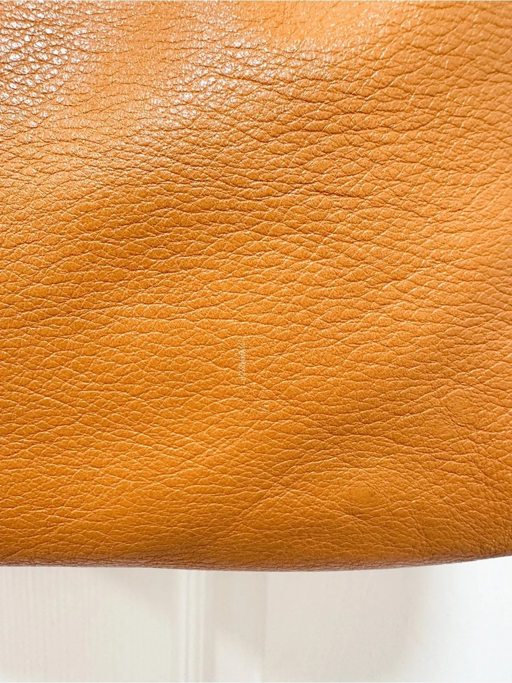 Coach Hobo Bag Madison Hailey Leather Camel